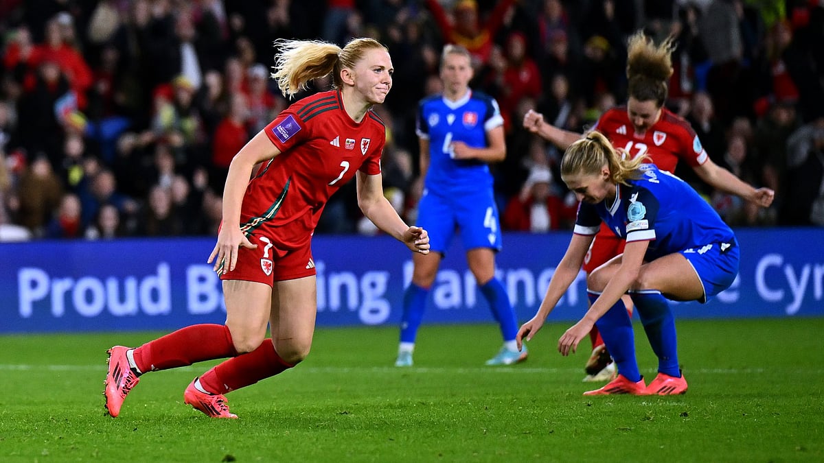 Holland celebrates Wales' winner - null