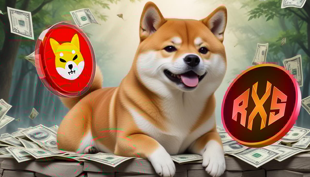 Shiba Inu Millionaire Draws Bullish Parallels Between SHIB And Rexas Finance (RXS)