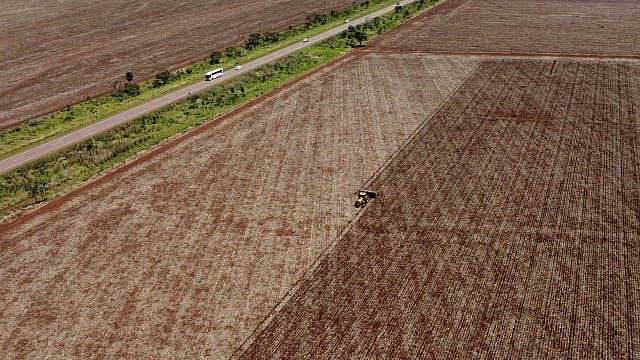 Brazil’s Mato Grosso Ends Soy Moratorium, Risks Amazon Deforestation