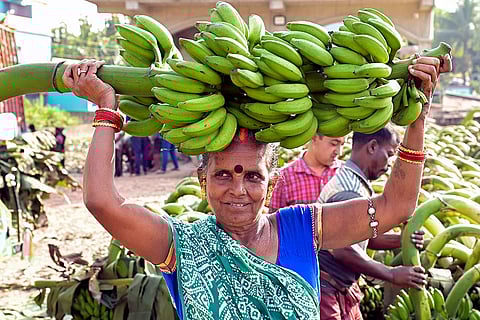 Preps for Chhath Puja in Nadia