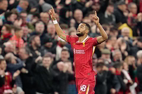 English Premier League Soccer Match: Liverpool Vs Brighton