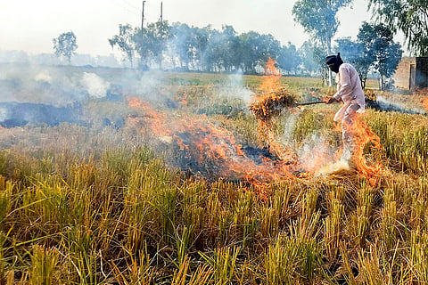 Stubble burning in Punjab