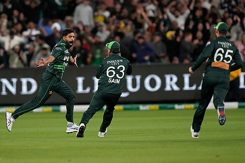 Australia Vs Pakistan, 1st ODI: Pakistan's Haris Rauf celebrates Australia's Glenn Maxwell's wicket