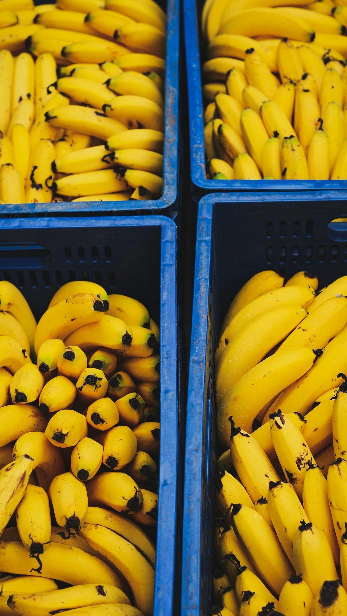 Pexels : Bananas