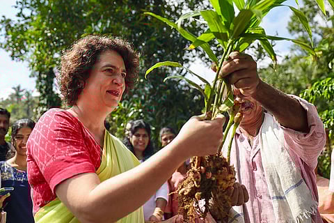 Priyanka Gandhi in Wayanad