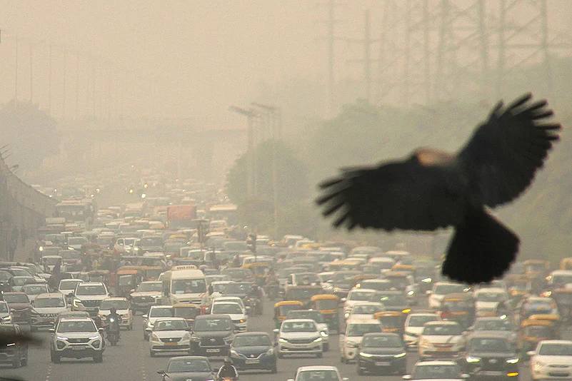North India weather Air pollution photos_2