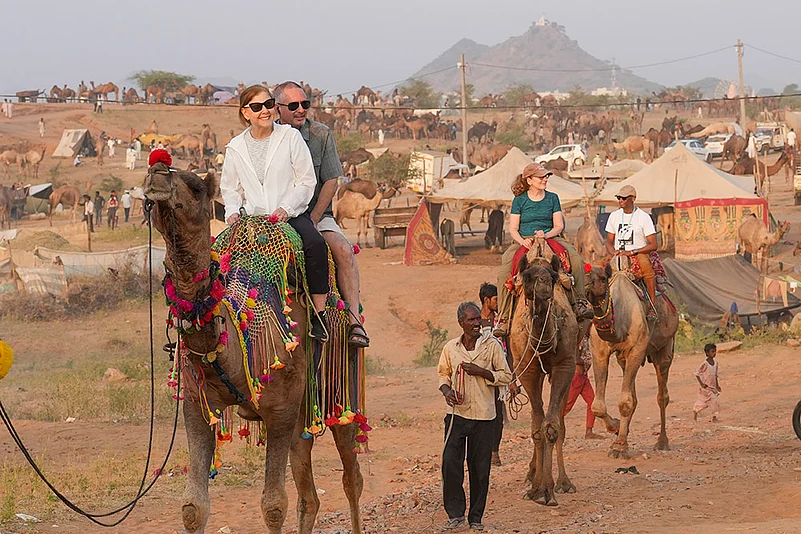 Foreign tourists take camel rides at Annual Pushkar fair 2024 in Rajasthan