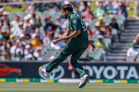 Australia vs Pakistan 2nd ODI: Pakistan's Haris Rauf celebrates the dismissal of Josh Inglis