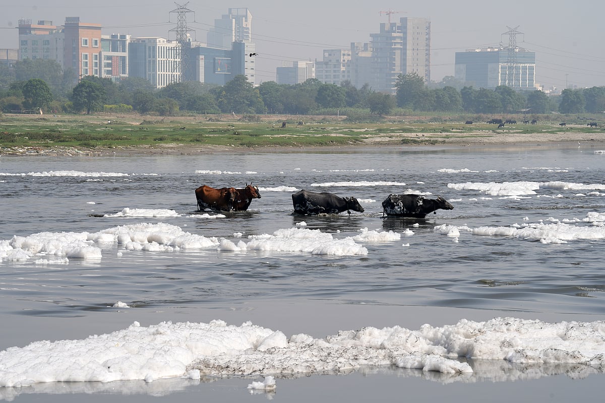 Pollutants and reduce the toxic foam at Kalindi Kunj 