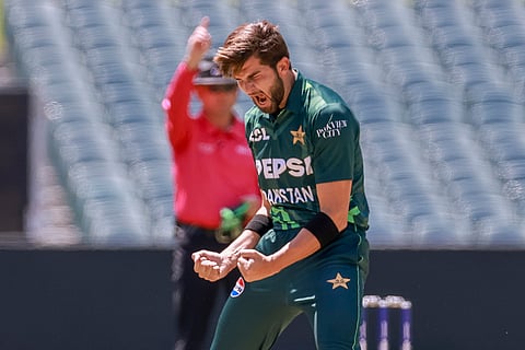 Australia vs Pakistan 2nd ODI: Pakistan's Shaheen Afridi celebrates Australia's Jake Fraser-McGurk's wicket