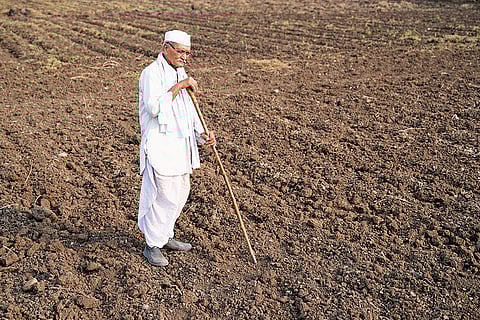Seshraj Tayade stands on his dry farm