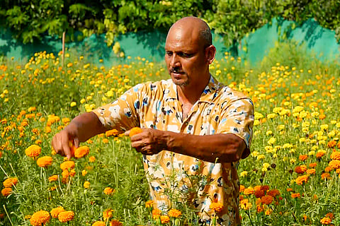 Growth of Marigold cultivation in Goa