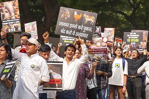 Protest against animal abuse in Delhi