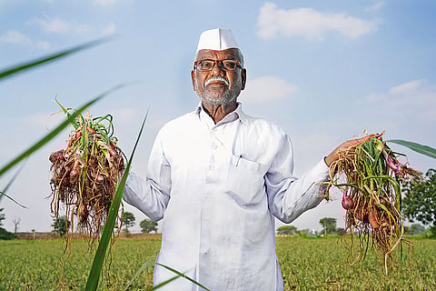 Shivaji Namdev Nikam shows his rotten onion produce