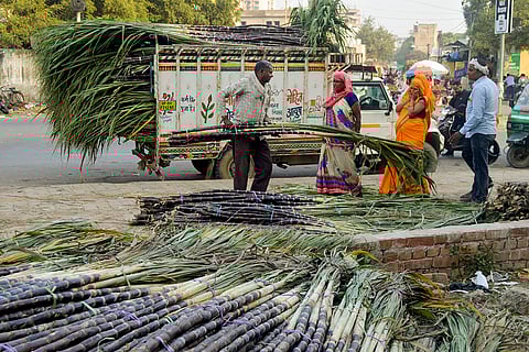 Dev Uthani Ekadashi in Agra