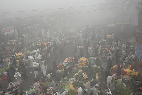 Vegetable market in Lahore