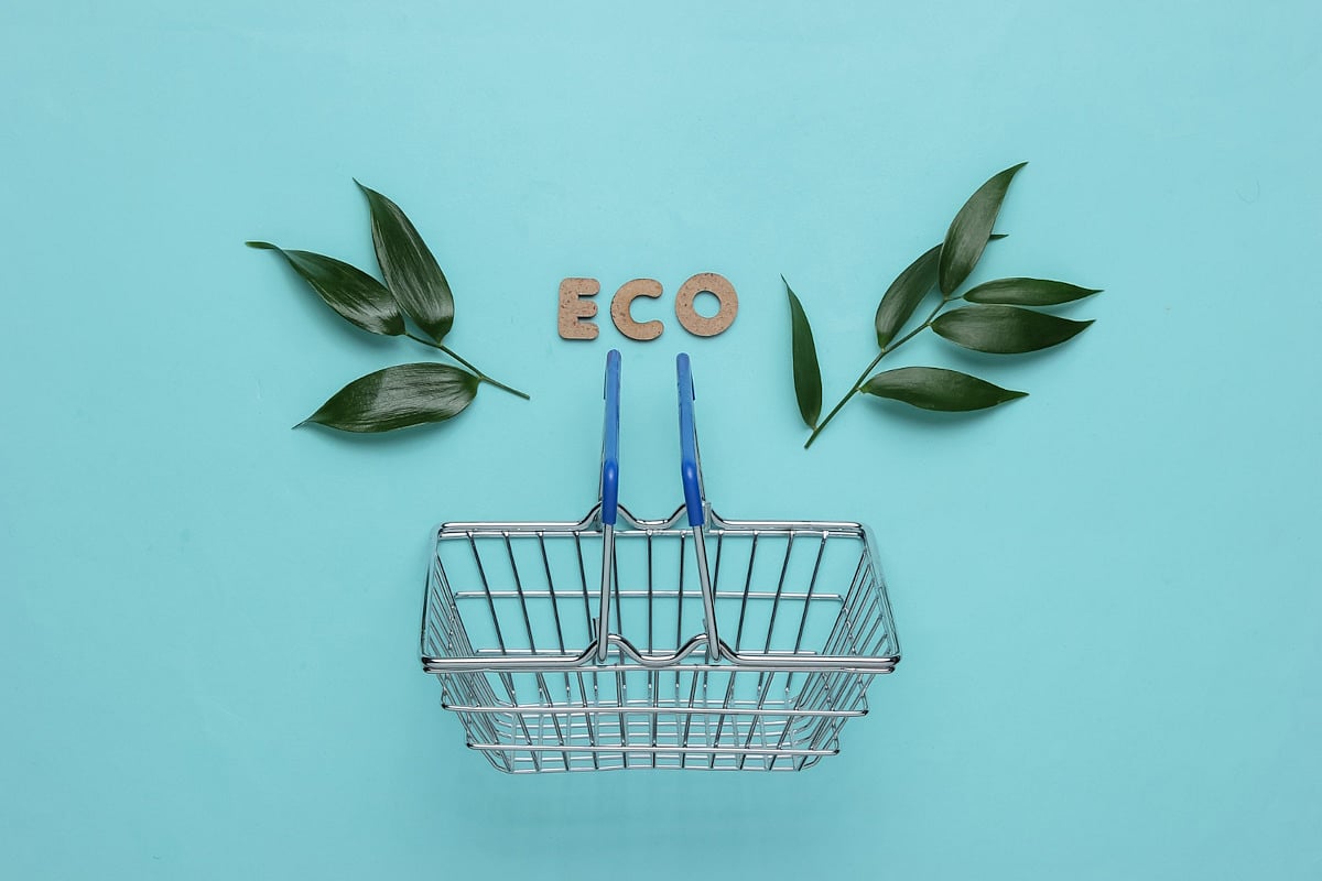 Sustainable E-commerce: The Tech Behind Green Online Stores