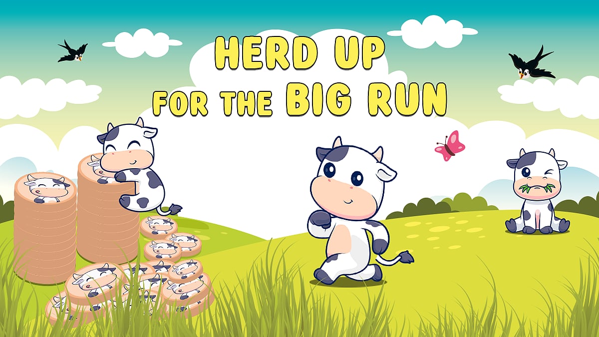 BTFD the Next Meme Coin