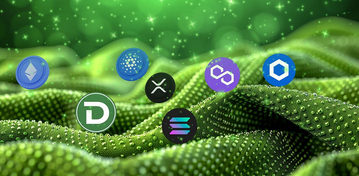 Top 3 Altcoins To Watch In 2024