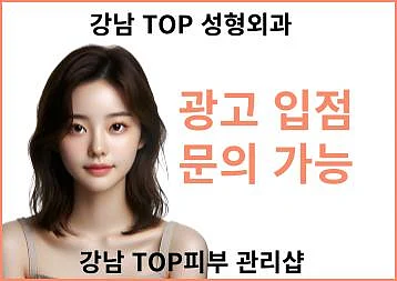 강남성형외과 및 서울피부과 Top 15