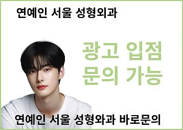 강남성형외과 및 서울피부과 Top 15