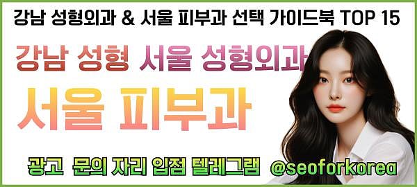 강남성형외과 및 서울피부과 Top 15