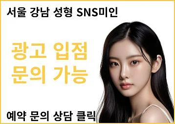 강남성형외과 및 서울피부과 Top 15