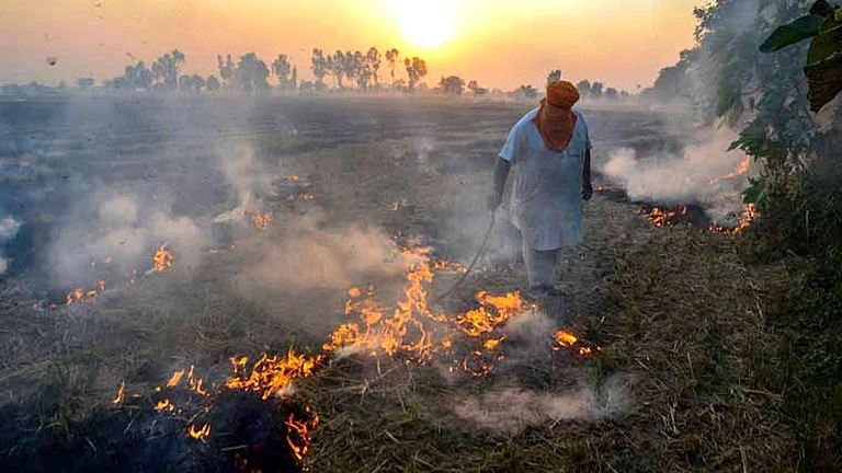 Stubble burning in Punjab, Haryana - PTI