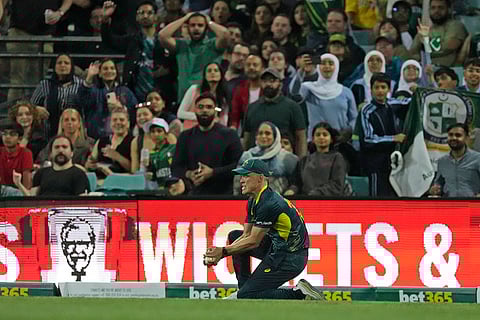 AUS vs PAK 2nd T20I: Australia's Nathan Ellis takes the catch to get Pakistan's Babar Azam out