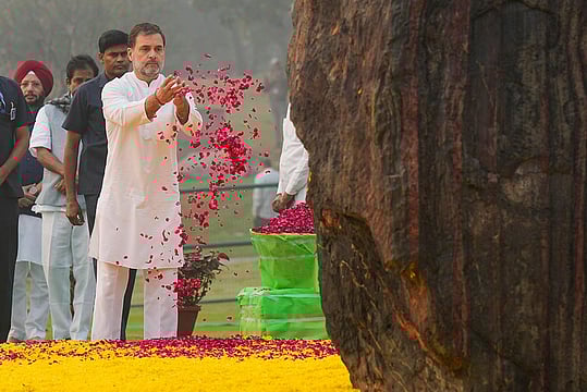Day In Pics: November 19, 2024