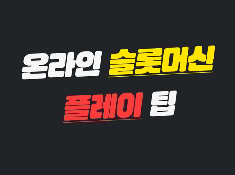 안전한 토지노 사이트 선택 과정의 숨겨진 비밀