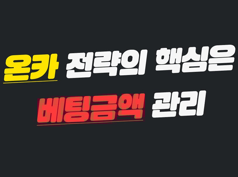 전문가가 검증한 토토 및 카지노 사이트의 가치