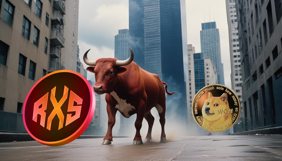Rexas Finance (RXS) Or Dogecoin (DOGE)