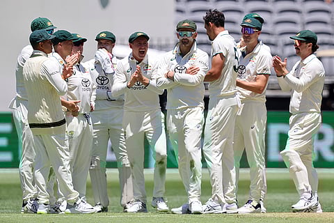IND Vs AUS 1st Test, Day 1: Australia's players celebrate the wicket of India's KL Rahul