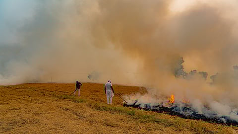 Farmers burning the stubble