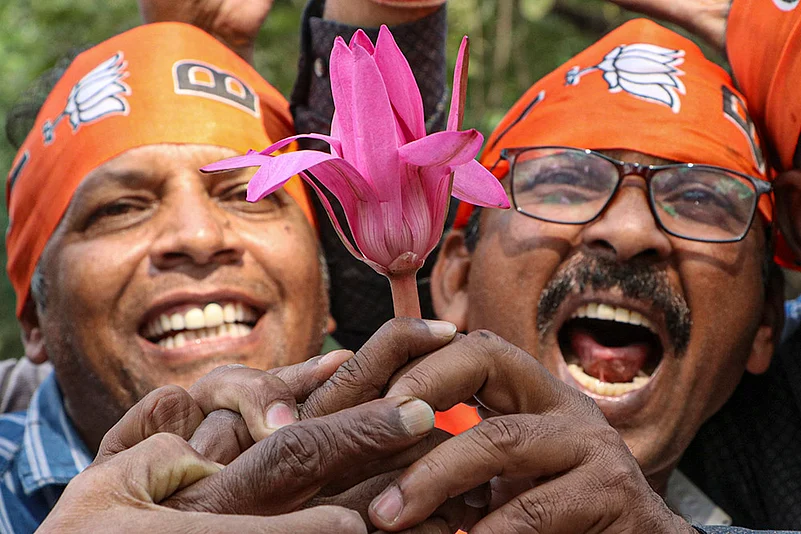 Maharashtra assembly polls 2024 - Mahayuti celebration photos_10
