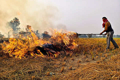 Stubble burning in Amritsar