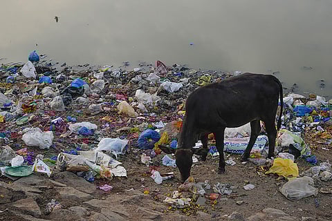 Hyderabad Plastic Pollution