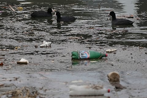Serbia Plastic Pollution