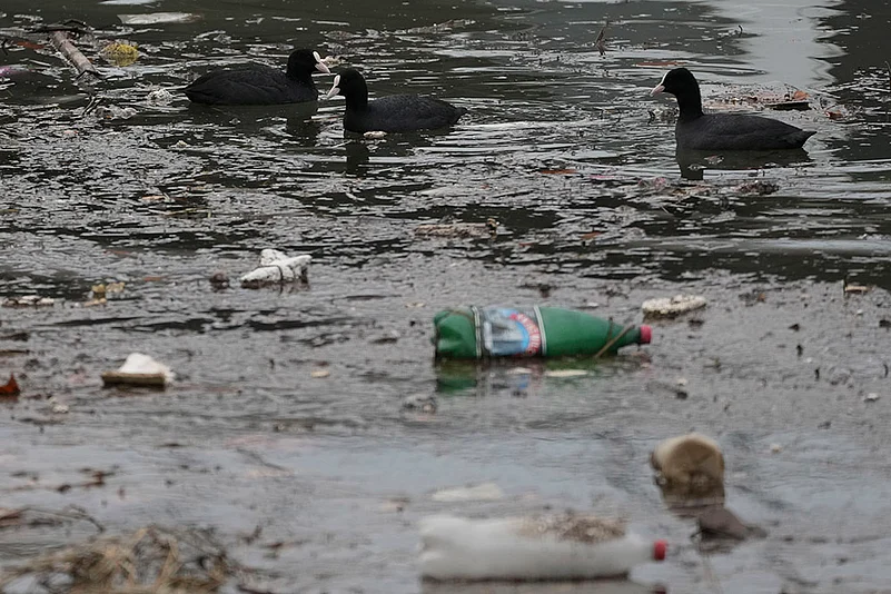 Plastic Pollution Photo Gallery: Belgrade, Serbia Plastic Pollution