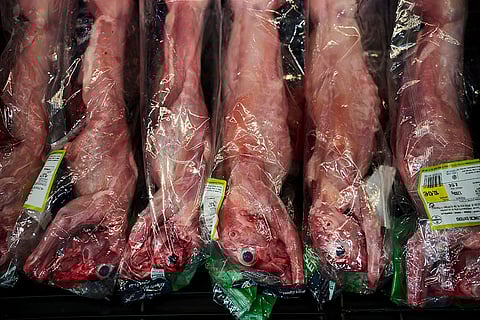 Spain Plastic Pollution