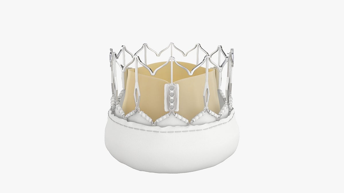 India Shines At London Valves 2024