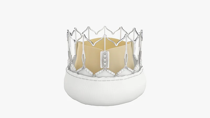 India Shines At London Valves 2024