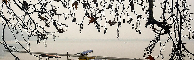 Weather: Winter fog in Srinagar