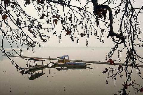 Weather: Winter fog in Srinagar