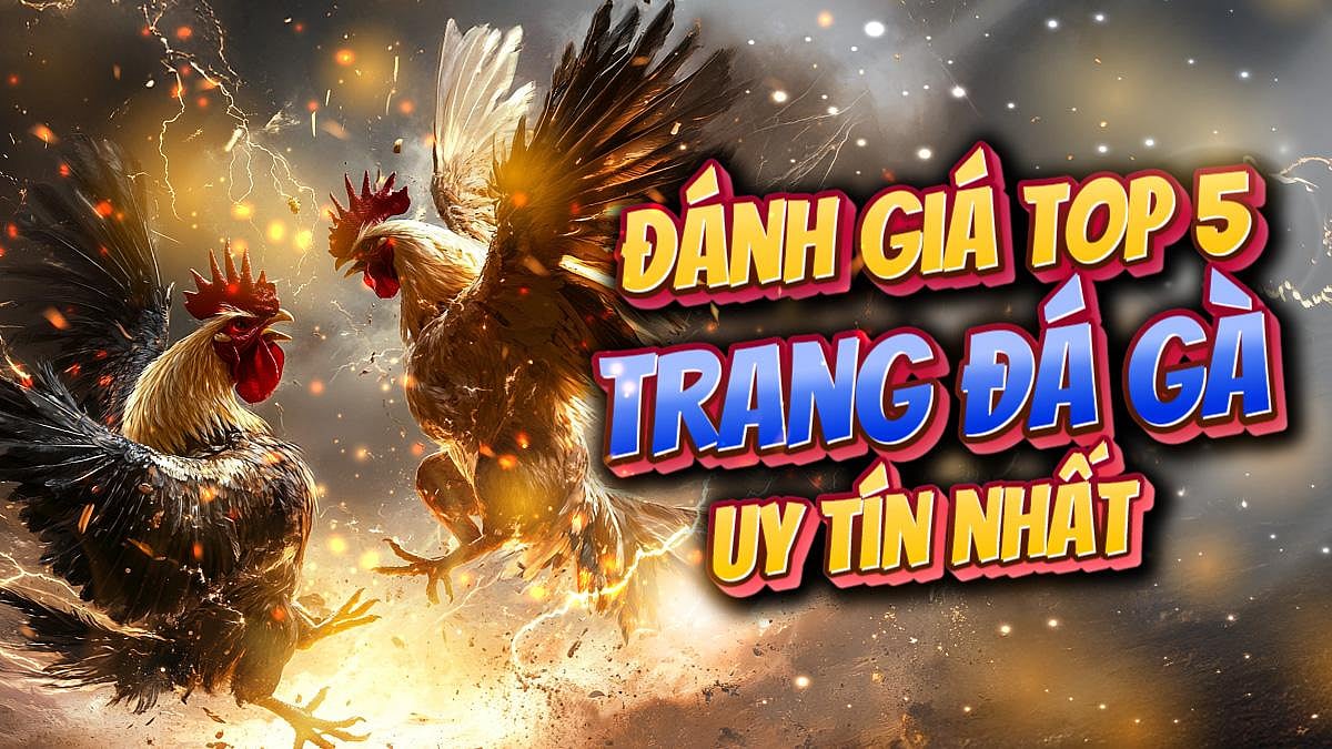 Top 5 Trang Dá gà Trực Tiếp Thomo Uy Tín Nhất Việt Nam
