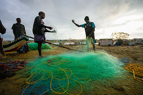 Aftermath of Cyclone Fengal landfall