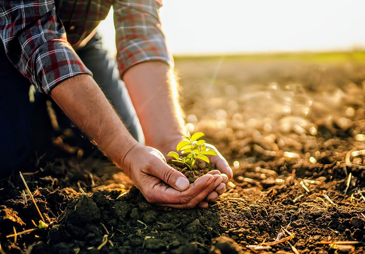 Humanity’s Future Depends On Living In Harmony With Nature