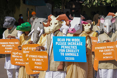 Protest for stricter penalties for animal cruelty
