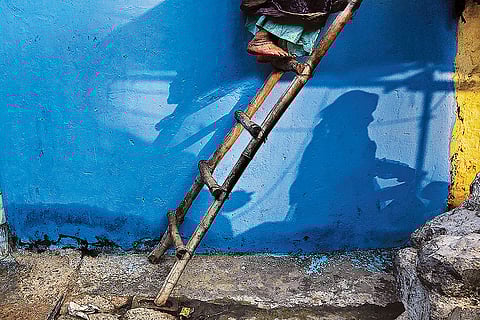 The Street Life: Snapshots from the Serendipity
photo series